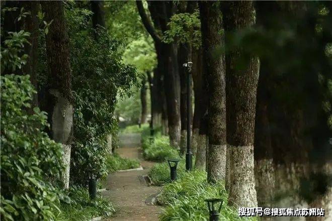 森林楼盘详情-2025年最新房价+户型+地址+位置麻将胡了2游戏入口中鹰·黑森林售楼处电话_中鹰·黑(图7)
