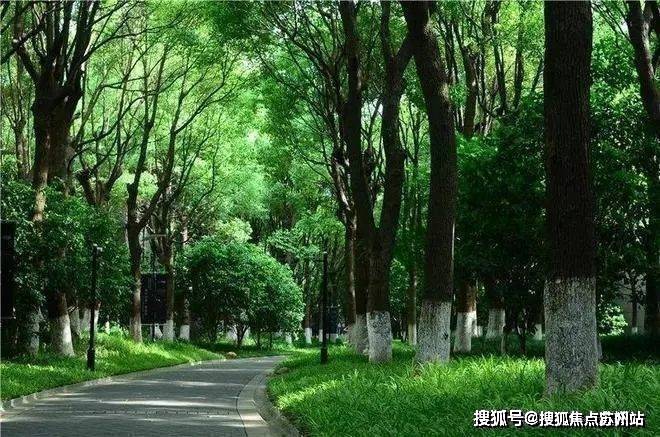 森林楼盘详情-2025年最新房价+户型+地址+位置麻将胡了2游戏入口中鹰·黑森林售楼处电话_中鹰·黑(图11)