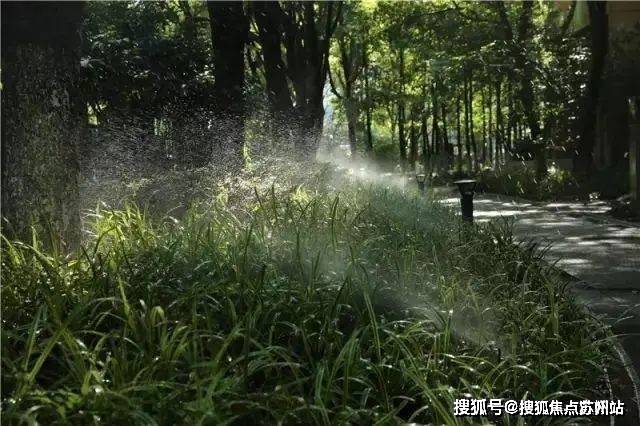 森林楼盘详情-2025年最新房价+户型+地址+位置麻将胡了2游戏入口中鹰·黑森林售楼处电话_中鹰·黑(图12)